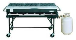 2'x4' Open Grill