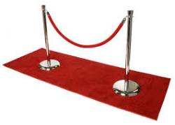 Red Velvet Rope (8ft)